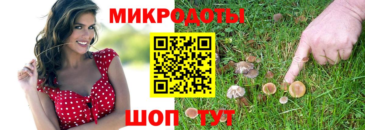 Балтийск  Псилоцибиновые грибы мухоморы  Вход с VPN 