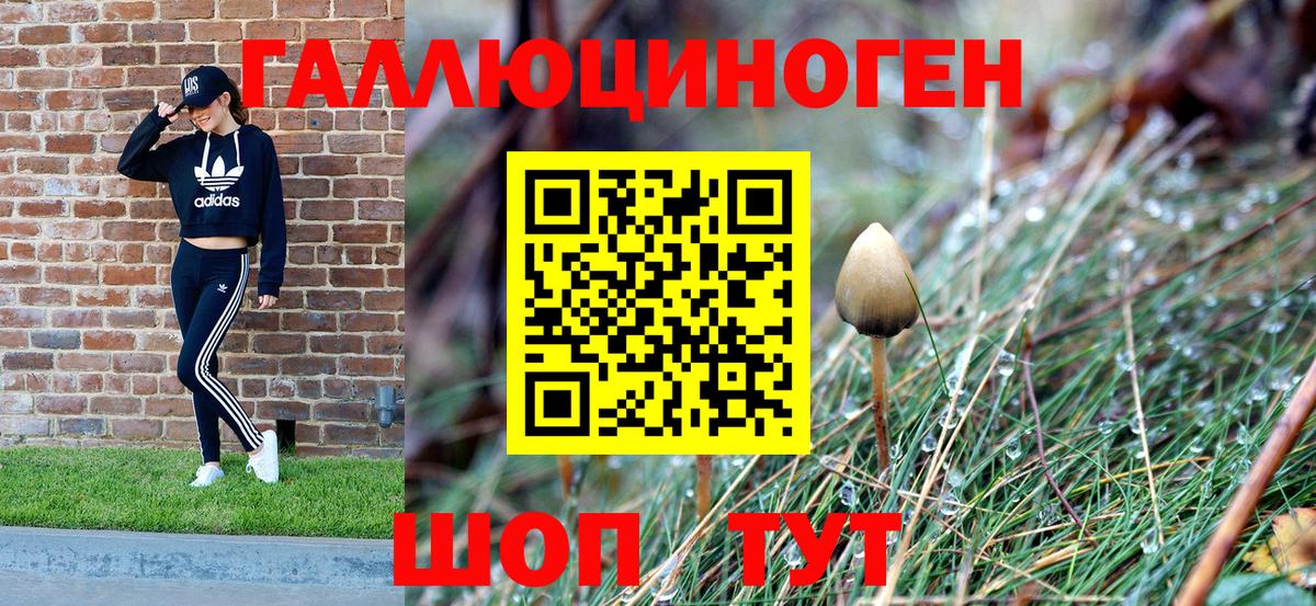 Псилоцибиновые грибы мухоморы Балтийск